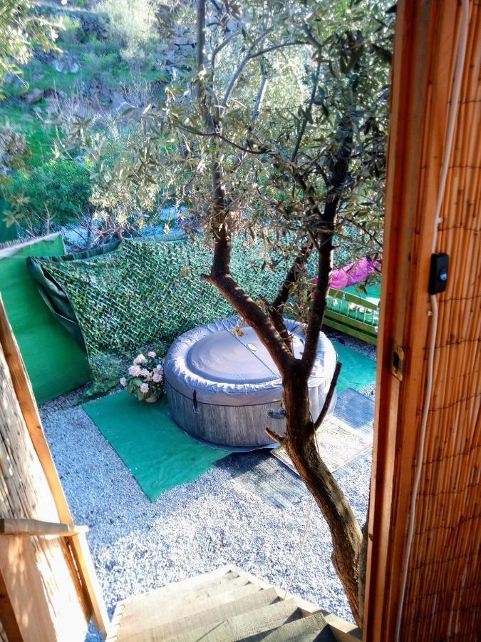 Treehouse ,Casa Arbol, With Spa Algarrobo Eksteriør bilde